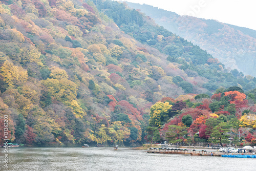 Colorful autumn forest and river in Arashiyama, Kyoto, Japan photo