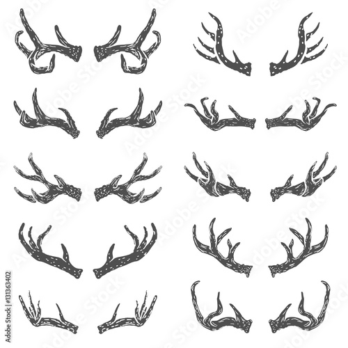 Set of hand drawn deer horns. Design elements for logo, label, emblem, sign, brand mark. Vector illustration.