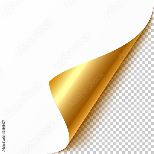 Gold curled corner with reflection and shadow on transparent background realistic vector illustration. Ready to apply to your design.