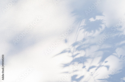Shadows of flowers on a white semi-transparent cloth
