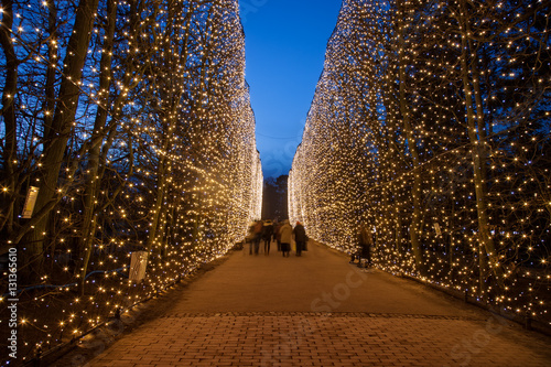 Christmas illumination the main alley at night in Oliwa Park, Poland.