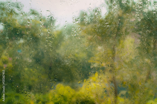 Wet Windows with Yellow Tree Background