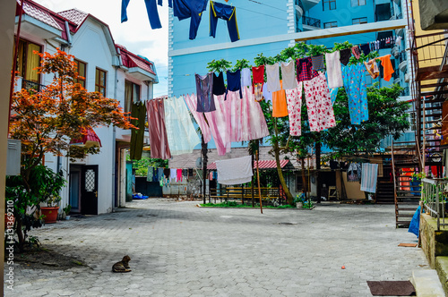 Courtyard with colorful laundry and cat in Batumi, Adjara, Georgia