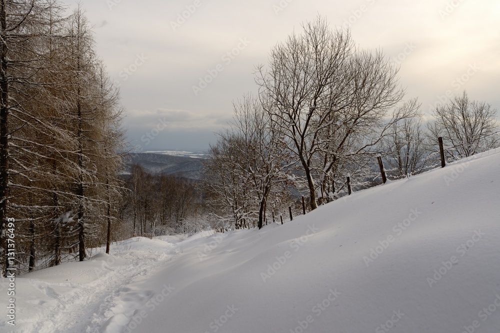 Randonnée dans les Vosges neige Randonnée dans les Vosges neige