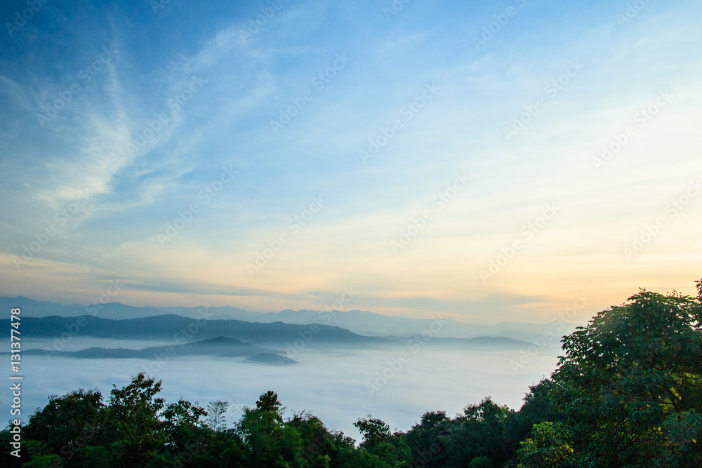 Mist in the morning