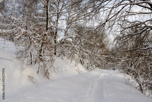 Randonnée dans les Vosges neige © Philippe