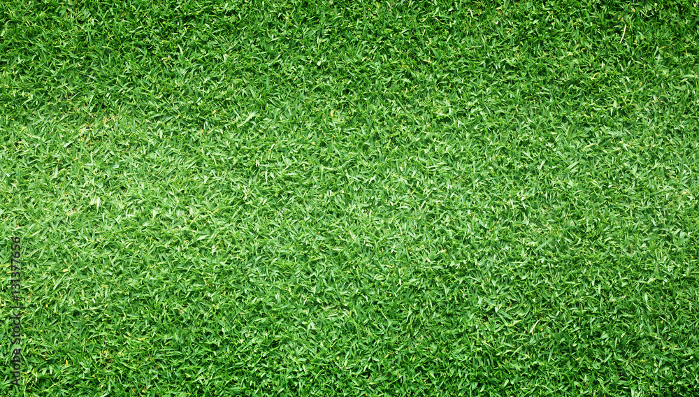 Obraz premium grass pattern textured background.