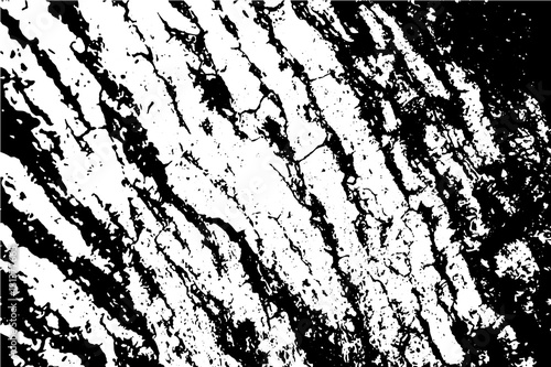 Wooden bark texture monochrome vector illustration.