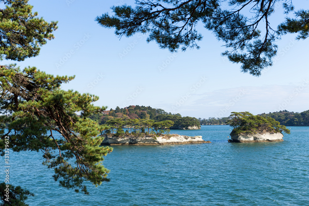 Matsushima with sunny day