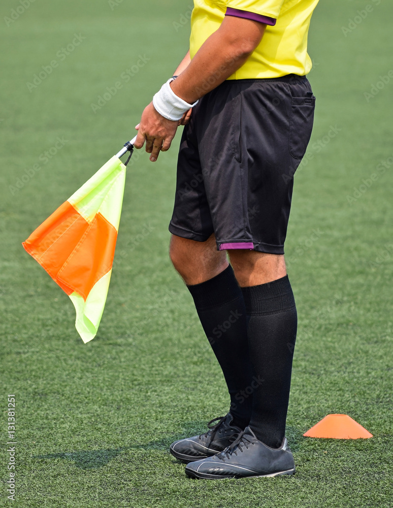 Fototapeta premium Soccer referee during the match