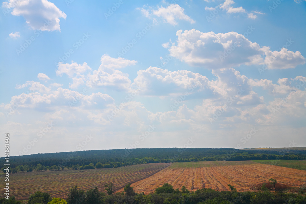Obraz premium Countryside landscape