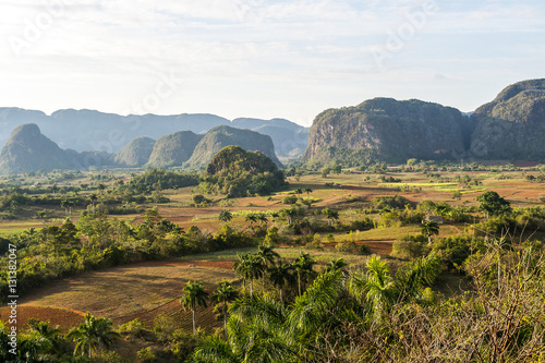 Obraz na plátně Kuba - Tabakanbau in Vinales