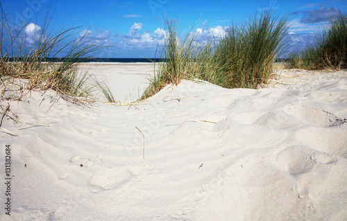 Duinen vanTerschelling