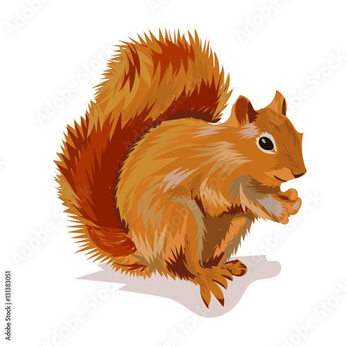 squirrel with nut