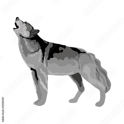 wolf howl at the moon