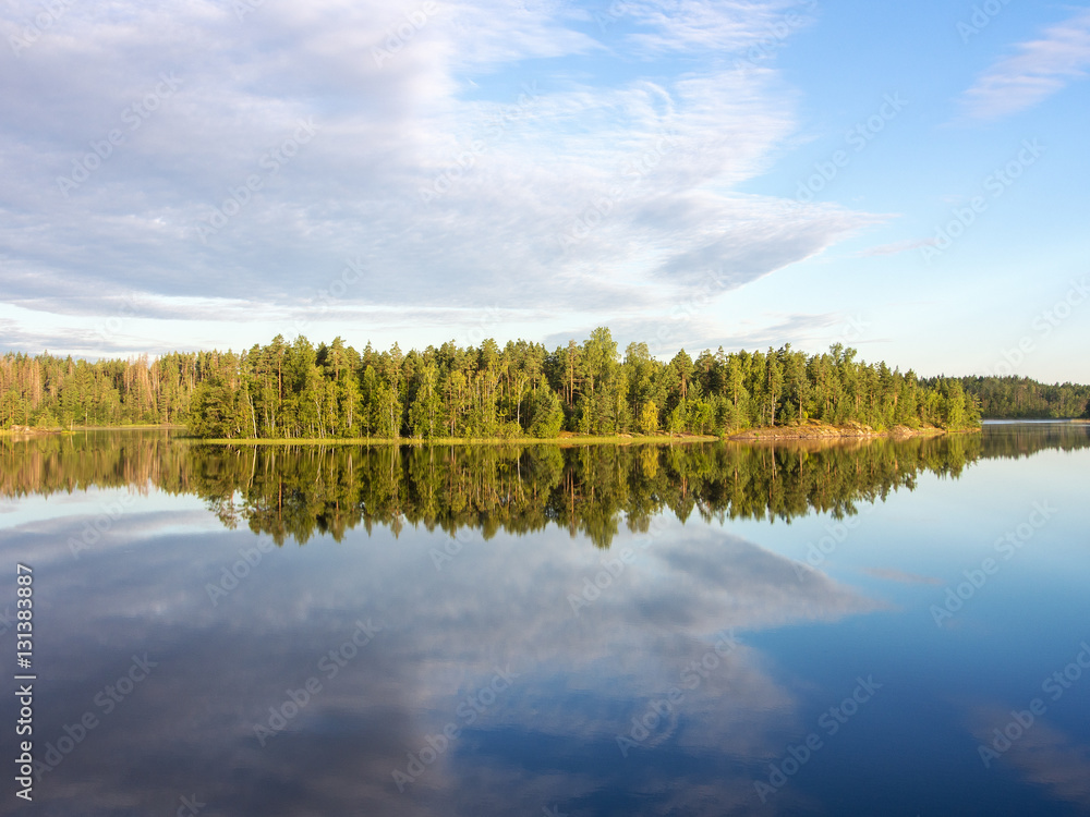 Fototapeta premium island in the forest lake