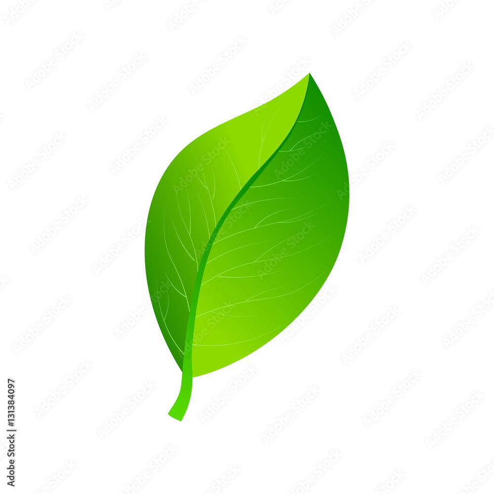 Obraz premium Vector illustration of ecology concept icon with glossy green leave. Eco Concept.