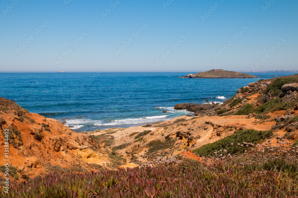 Obraz premium Ocean Coast on Southwest Alentejo and Vicentine Natural Park, Portugal
