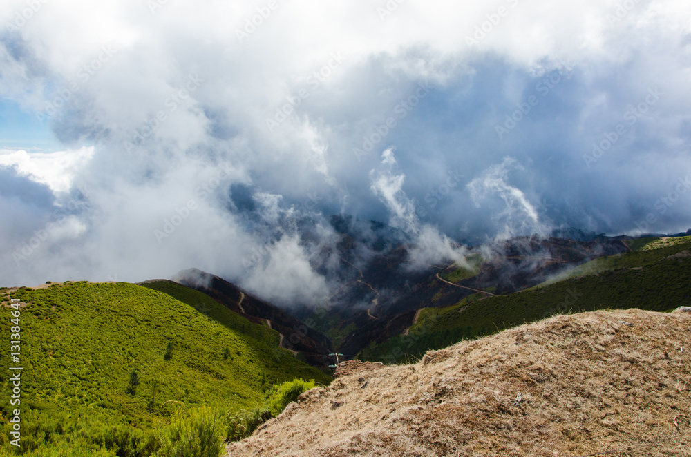 Panoramic view of the hills with the burned forest. October 2016 Madeira Panoramic view of the hills with the burned forest. October 2016 Madeira
