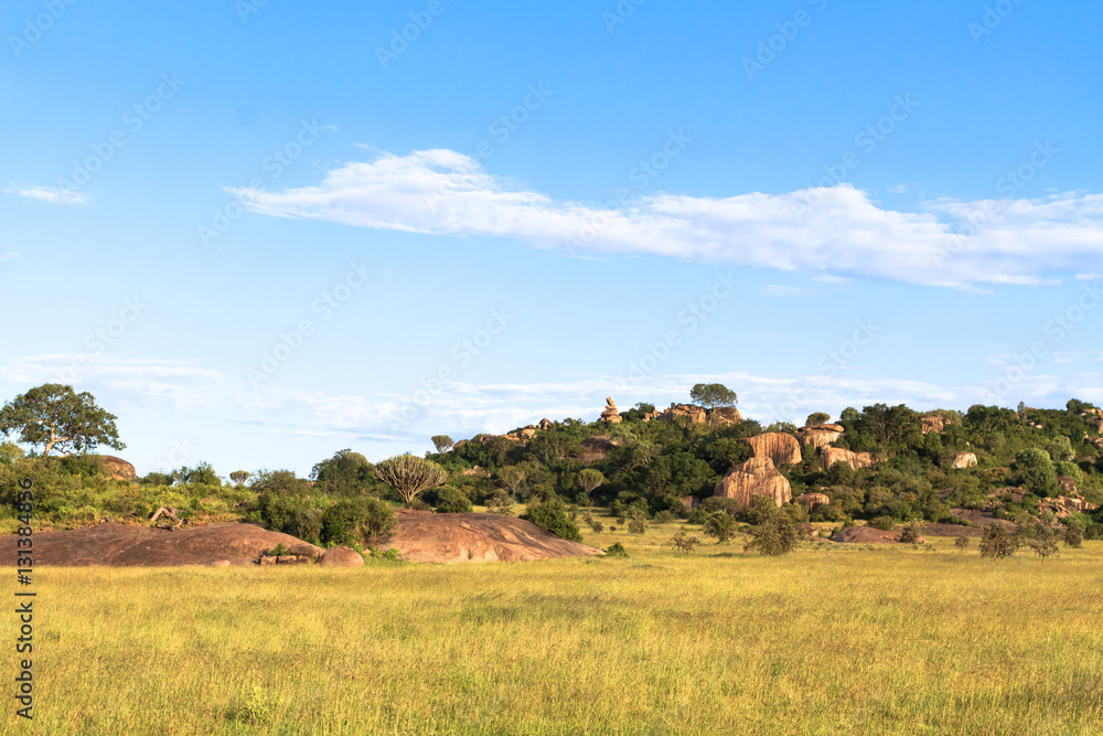 Clouds over savannah. Yellow field.  Serengeti, Tanzania