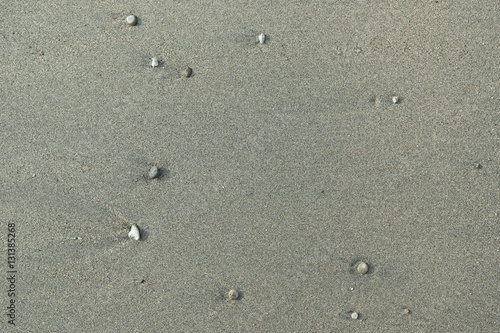 砂浜に打ち上げられた小石