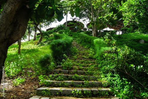 Stone stairway, surrounded by greenery and trees, leading up. Summer Botanical Garden
