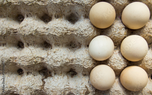 Eggs rack texture
