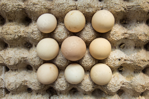 Top view of eggs rack texture at the mid