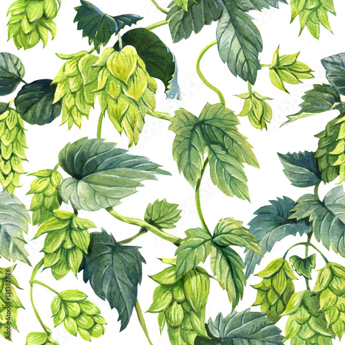 Seamless pattern of hops vine painted with watercolour on white