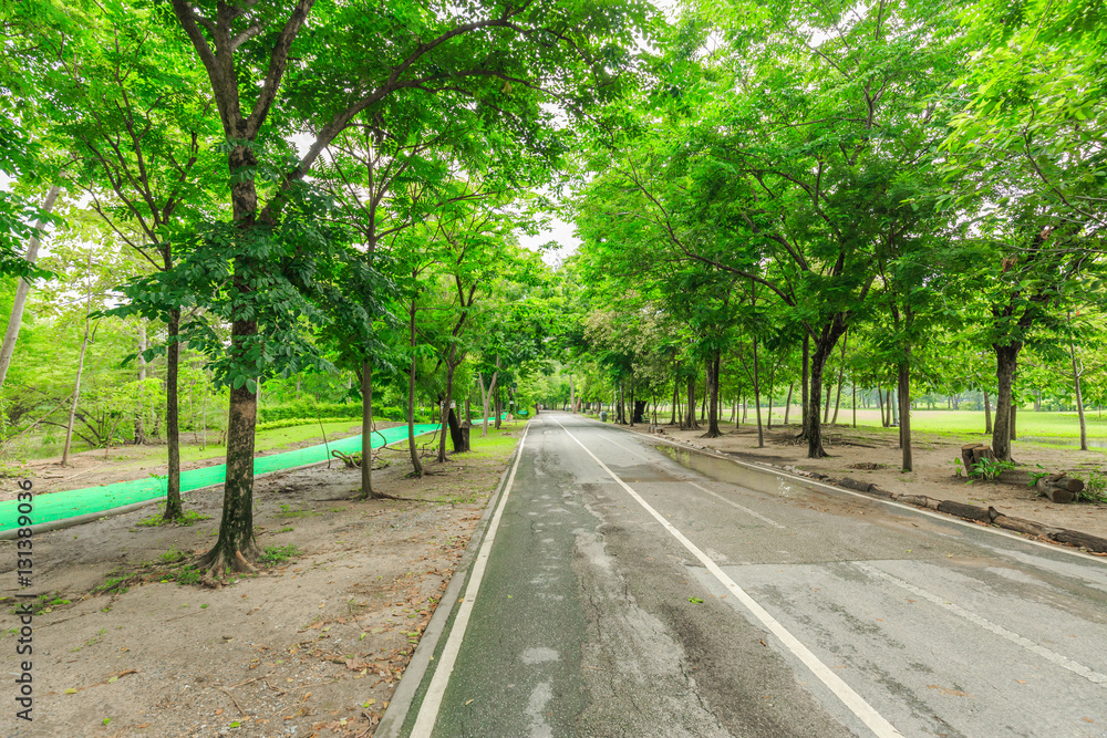 View of Vachirabenjatus Park or Train park in Bangkok Thailand.