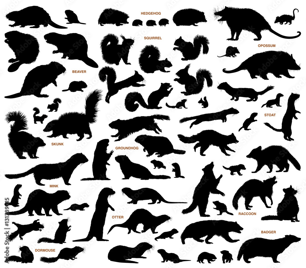 Small mammals of the northern lands vector silhouettes collection