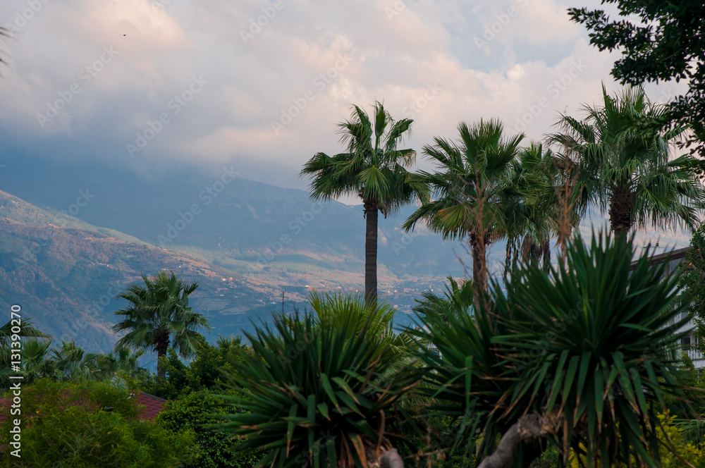 urban landscape with a mountain view