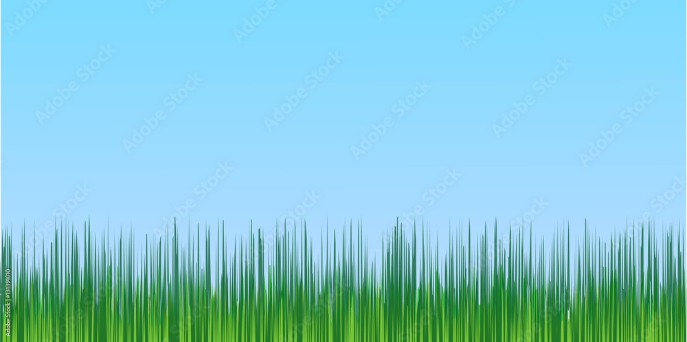 Obraz premium juicy green grass blue sky background, spring background adaptive for social networking, vector template