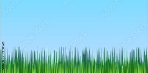 juicy green grass blue sky background, spring background adaptive for social networking, vector template