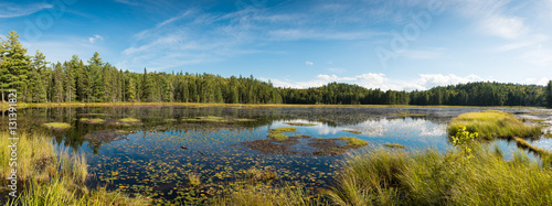 Photography Algonquin IV