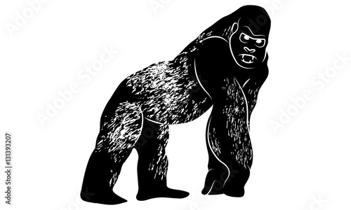 Gorilla