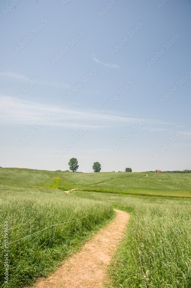 country road in the farmland2