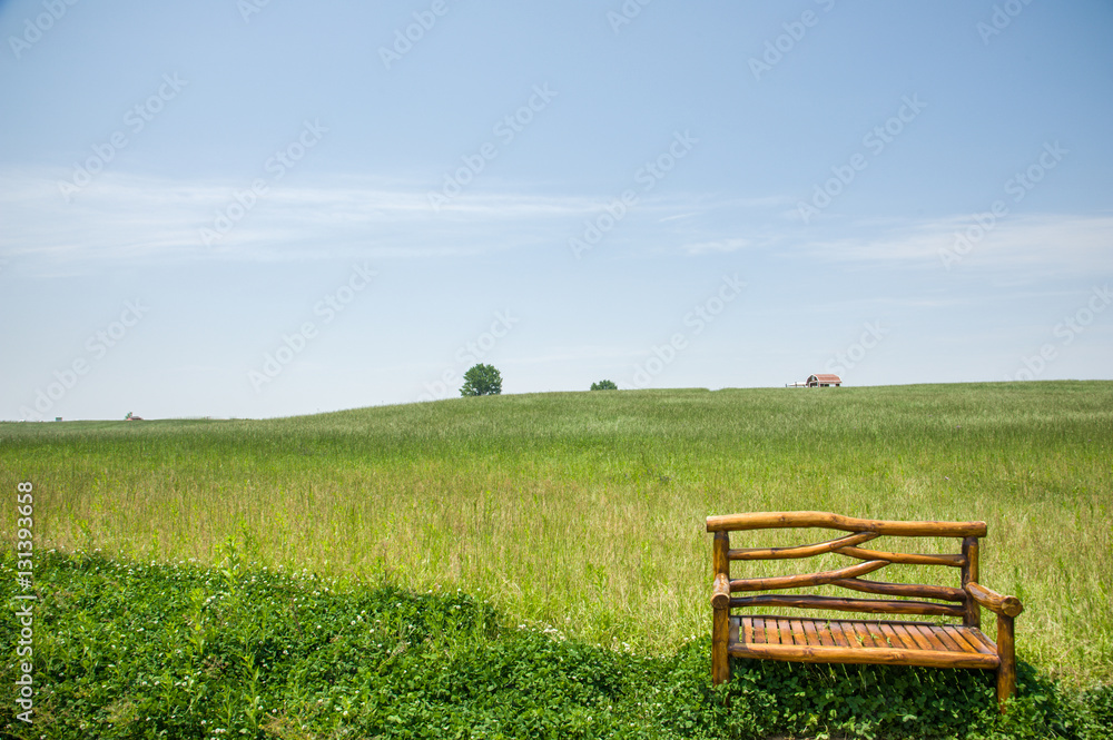 wooden bench on the field1