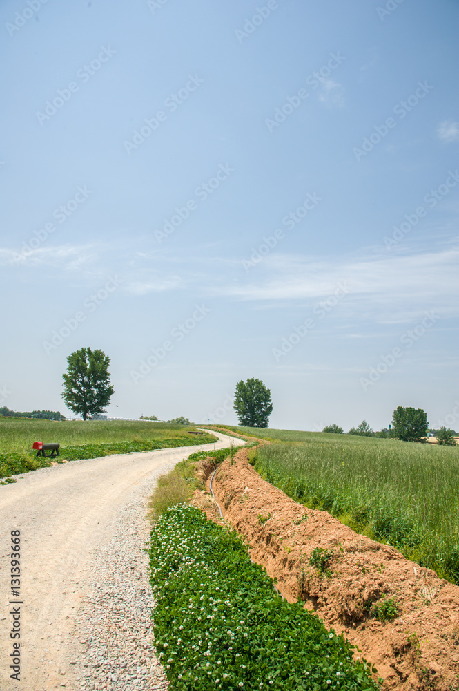 country road in the farmland5