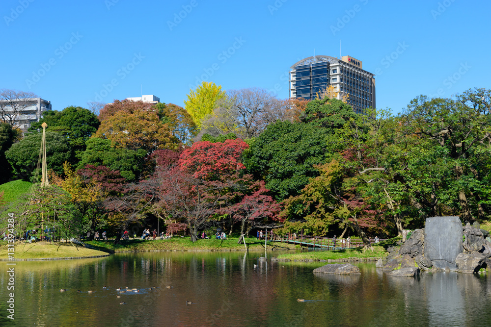 東京 小石川 秋の小石川後楽園 東京 小石川 秋の小石川後楽園