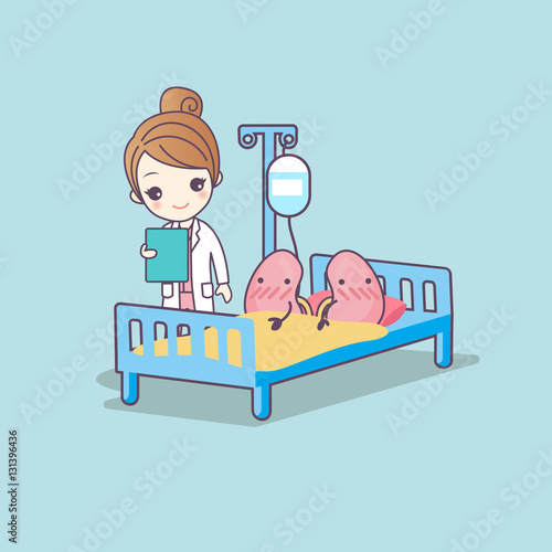 cute cartoon kidney and doctor