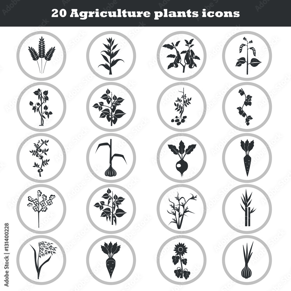 Agriculture crops icons set Agriculture crops icons set