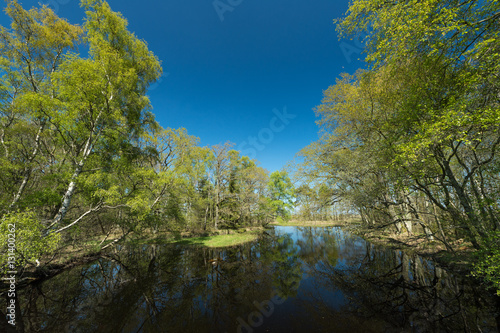 Lush lake with green trees and blue sky