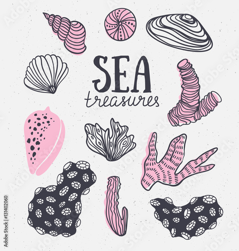 Grunge vector backgroung with sea treasures - corals, cockleshells, stones, seaweed. Vector illustration hand drawn style.