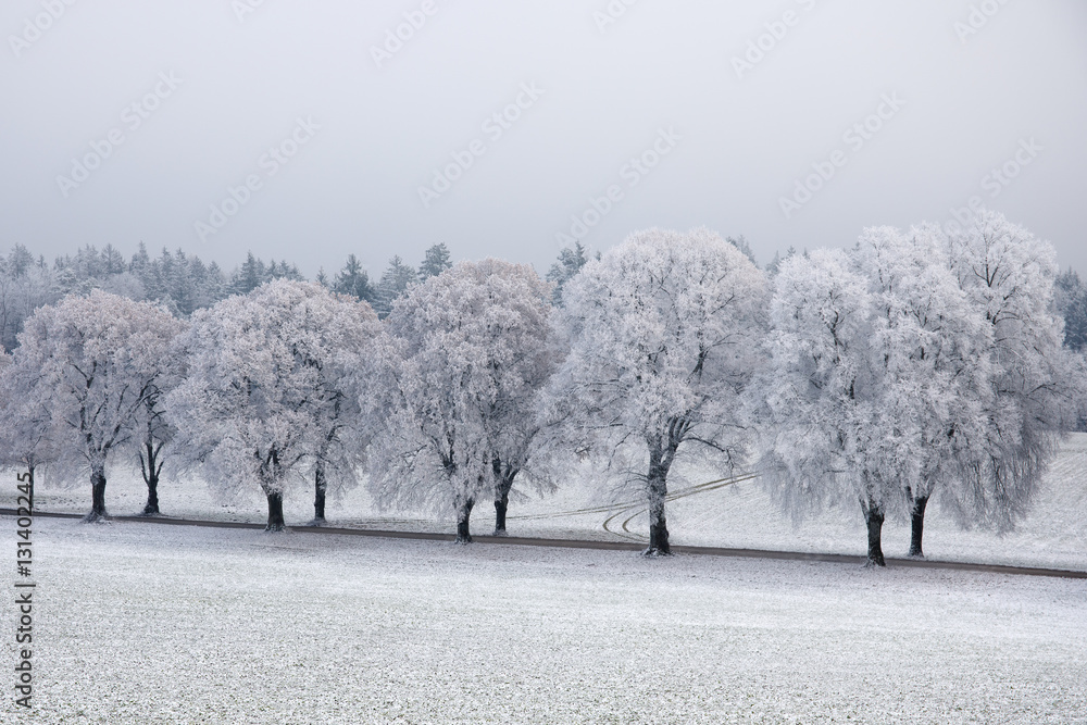 Fototapeta premium Winterlandschaft