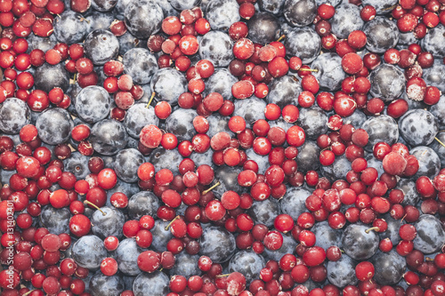 Sloe berries (blackthorn) mixed with iced cranberries. Food background, selective focus