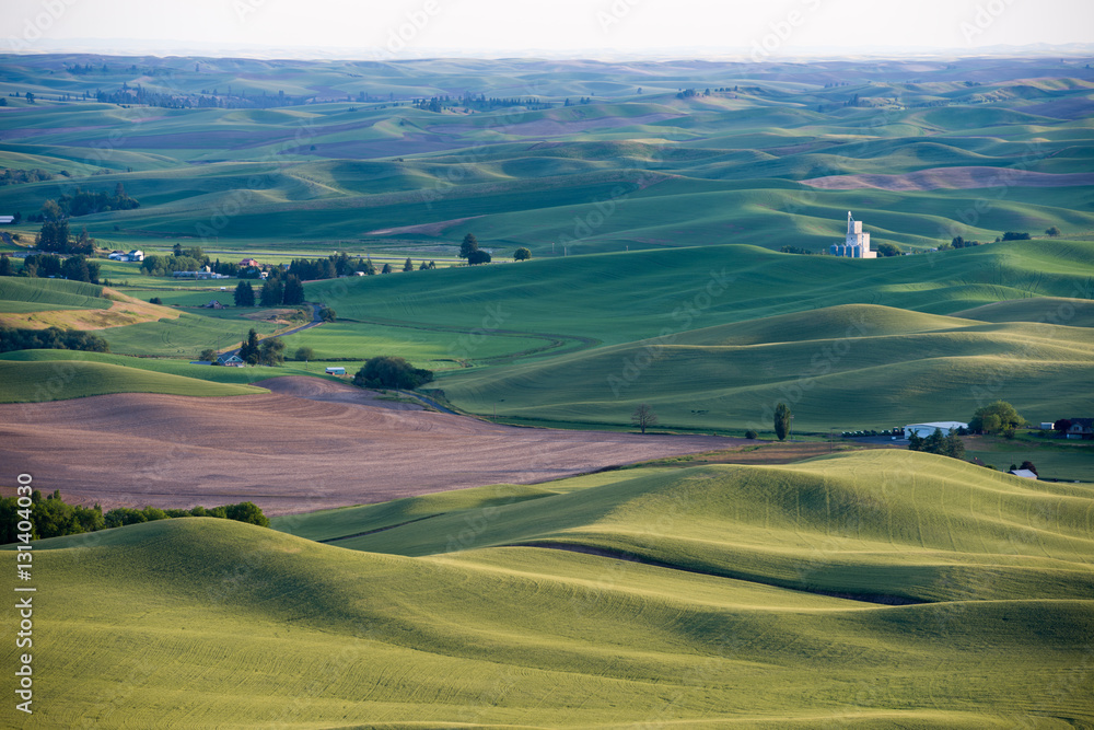 rolling hills of Palouse