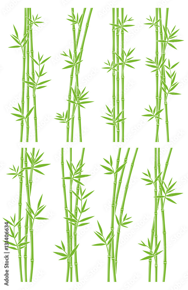 Bamboo collection set. Vector Bamboo collection set. Vector