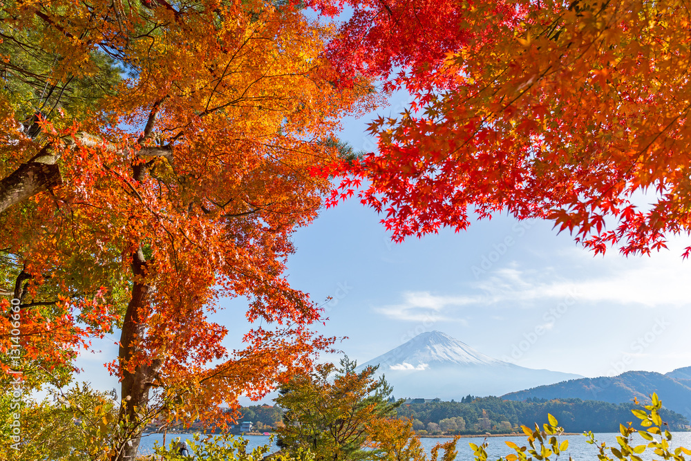 Mt.Fuji in autumn