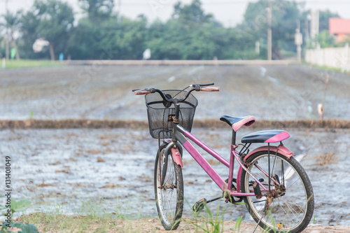 old bicycle in paddy field. © sirayot111
